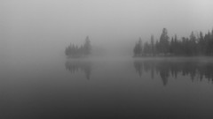 Trees lakes reflections mist