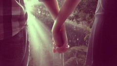 Trees light forests holding hands