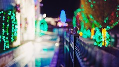 Trees lights Christmas fences bokeh multicolor decorations 