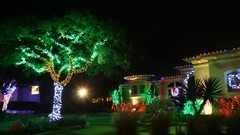 Trees lights Garden houses