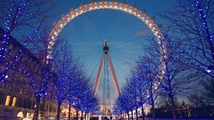 Trees London United Kingdom buildings London Eye Christmas 