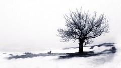 Trees lonely artwork