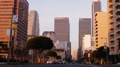 Trees Los Angeles cities cityscapes