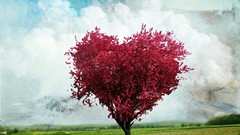 Trees love Hearts Photo manipulation