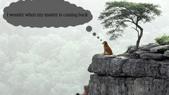 Trees Men Dogs sitting rocks cliff