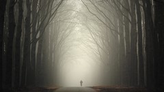 Trees Men roads lonely mist biking