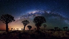Trees Milky Way Africa