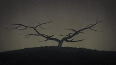 Trees minimalistic artwork