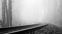 Trees mist forests railroad tracks grayscale
