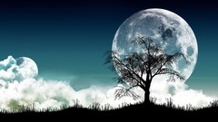 Trees moon