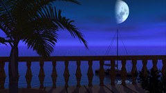 Trees moon skyscapes