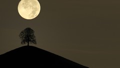 Trees moon switzerland silhouettes full moon