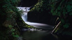 Trees moss waterfalls rivers forests