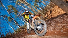 Trees motocross races forests motorbikes
