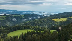 Trees Mountains Austria herzogberg