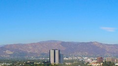 Trees Mountains California