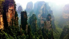 Trees Mountains China moss Asia rocks forests