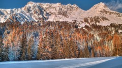 Trees Mountains Christmas Friends forests