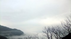 Trees Mountains clouds