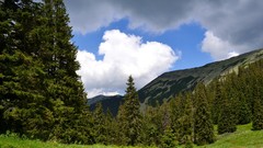 Trees Mountains clouds forests