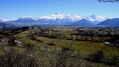 Trees Mountains fields