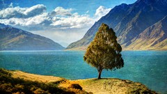 Trees Mountains lakes