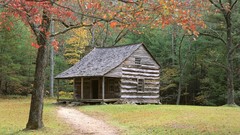 Trees Mountains logs cabin