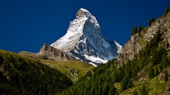 Trees Mountains matterhorn