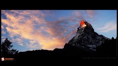 Trees Mountains matterhorn