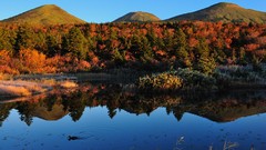 Trees Mountains reflections