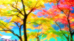 Trees multicolor