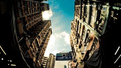 Trees multicolor cityscapes Yiu Yu Hoi