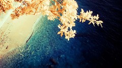 Trees multicolor cityscapes Yiu Yu Hoi