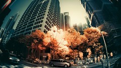 Trees multicolor cityscapes Yiu Yu Hoi