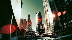 Trees multicolor cityscapes Yiu Yu Hoi