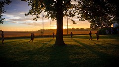Trees national geographic children
