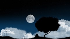 Trees night clouds moon shadows