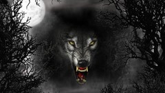 Trees night dark moon Wolves