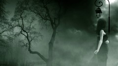 Trees night dark woman light bulbs