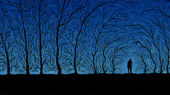 Trees night forest abstract silhouette twilight shadows creepy