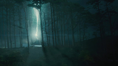 Trees night forests magic