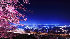 Trees night lights cityscapes