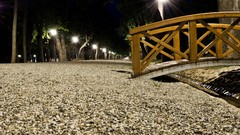 Trees night lights roads Bridges Parks romania walk
