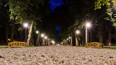 Trees night lights roads Bridges Parks romania walk