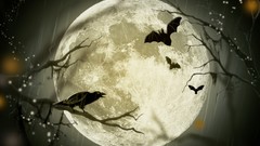Trees night moon raven Halloween bats
