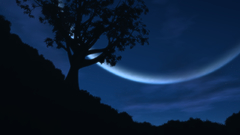 Trees night moon Space