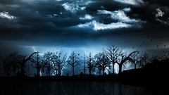 Trees night silhouettes skyscapes