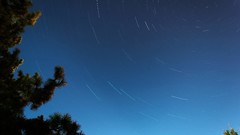 Trees night Stars blue romania skies