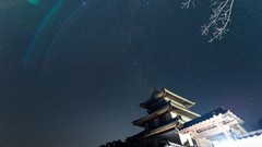 Trees night Stars China