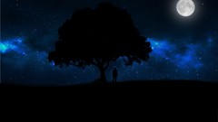 Trees night Stars dark hills Men moon skies